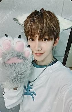 Kick Out, Flip Now! Counting Stars Donghyeon photocard image