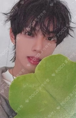 Sweet Dream DEAR MY MUSE LUCKY DRAW