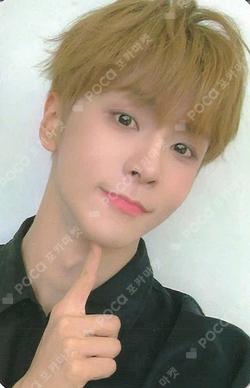 NEW CHAPTER : LUCEAT MUSIC KOREA