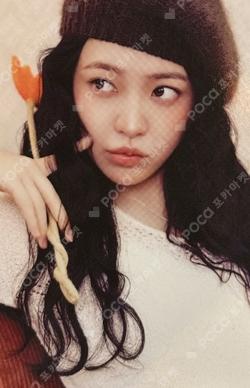 2026 SEASON'S GREETINGS RANDOM TRADING CARD SET B ver. YERI photocard image
