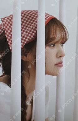 2026 SEASON'S GREETINGS YES24 WENDY photocard image