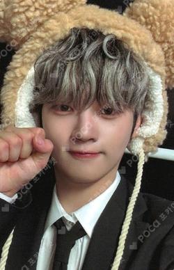 Wonderland EVERLINE KANGSEOKHWA photocard image