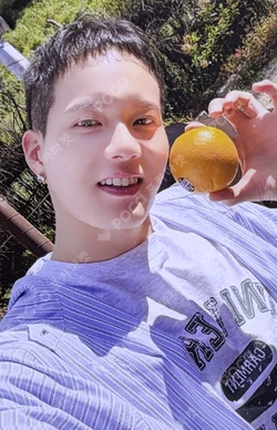 2026 BTOB COMPANY SEASON’S GREETINGS [farm fruits]