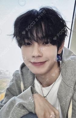 Sweet Dream SOUND WAVE