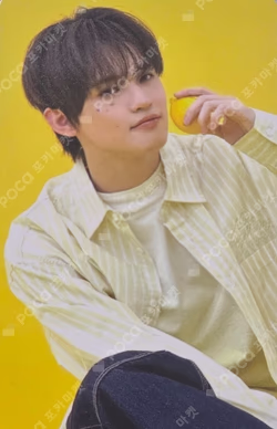 2026 SEASON'S GREETINGS RANDOM TRADING CARD SET B ver. CHENLE photocard image