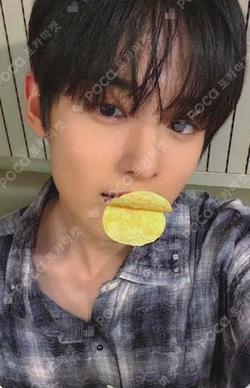 YOUNI-T EVERLINE WOONO photocard image