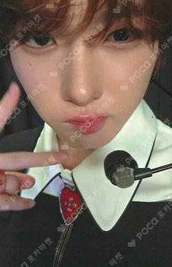 COLOR KPOP MERCH SAKUYA photocard image