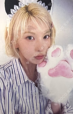 Fe3O4: FORWARD Counting Stars BAE photocard image