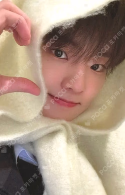 a;effect EVERLINE Q photocard image