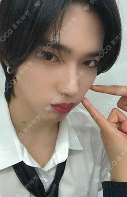 Butterfly Starlike Music Chael photocard image