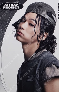 ALLDAY PROJECT TELECA COLLECTION CARD BASE