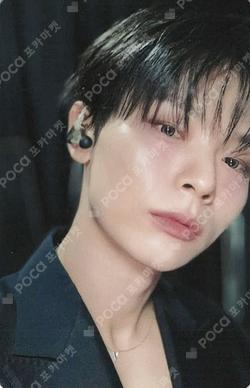 Sunflower DEAR MY MUSE SHINYECHAN photocard image