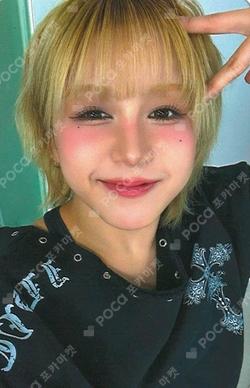 BUBBLE GUM MUSICPLANT