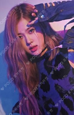 2018 In Your Area World Tour Japan ROSE photocard image