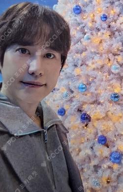 The Road : Celebration KYUHYUN photocard image