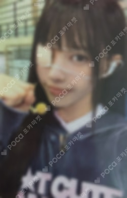 NOT CUTE ANYMORE dingo music GIFT