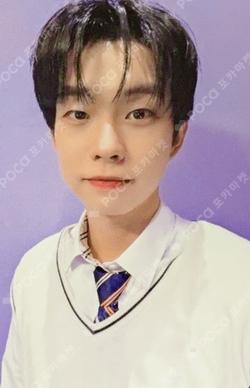 Sunflower MAKESTAR WINNER