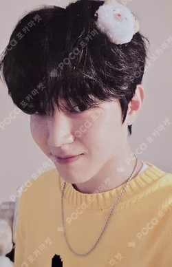 2026 SEASON'S GREETINGS [PRESS THE BUTTON]