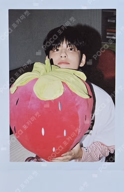 2026 SEASON'S GREETINGS [PRESS THE BUTTON] WONPIL photocard image