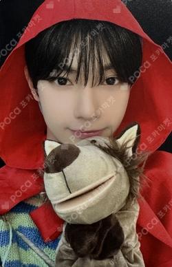 Sweet Dream EVERLINE CHUEI LI YU photocard image