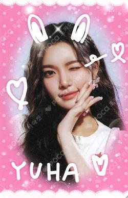 STYLE COLLECT BOOK SET