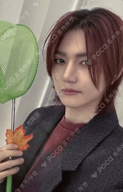 LOUD & PROUD DEAR MY MUSE