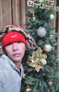 2025 MBC Gayo Daejejeon: MUT TARZZAN photocard image