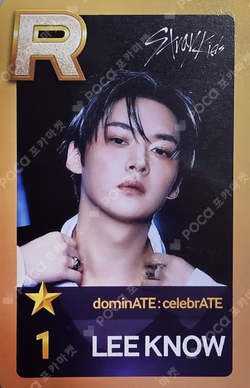 Stray Kids World Tour dominATE : celebrATE SuperStarJYPNATION LEE KNOW photocard image
