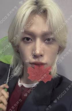 LOUD & PROUD DEAR MY MUSE JIHO photocard image