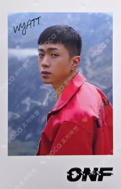 GO LIVE POLAROID SET