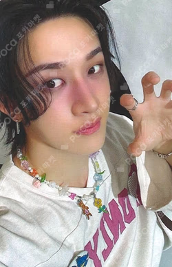 Stray Kids World Tour dominATE : celebrATE REWARD BANG CHAN photocard image