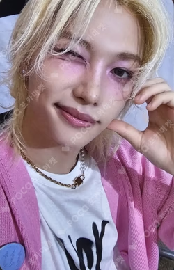 Stray Kids World Tour dominATE : celebrATE REWARD