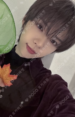 LOUD & PROUD DEAR MY MUSE