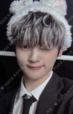 Wonderland EVERLINE KANGSEOKHWA photocard image