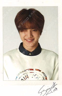 INFINITE NIT SHOP POLAROID SET