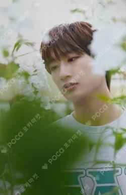 OMEGA X x Wonderwall TAEDONG photocard image