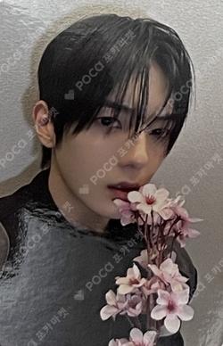 BANG OUT EVERLINE LEEJEONG photocard image