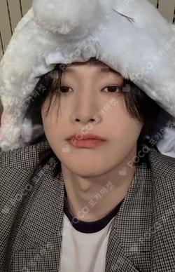 Wonderland EVERLINE YOOYONGHA photocard image