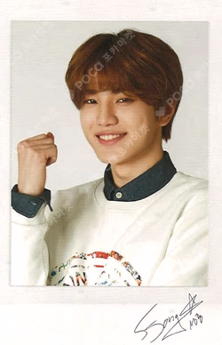 INFINITE NIT SHOP POLAROID SET