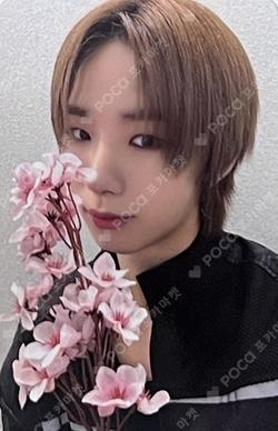 BANG OUT EVERLINE WONJUN photocard image