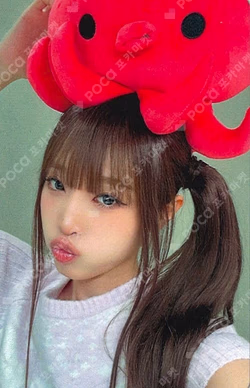 Blooming Wings INTERASIA