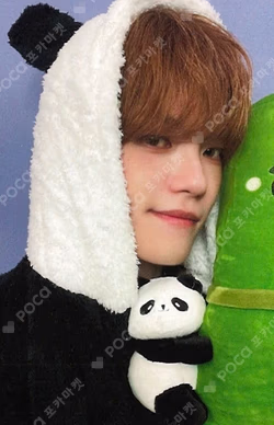 Lost and Found MINIRECORD