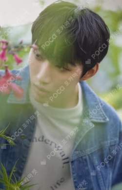 OMEGA X x Wonderwall