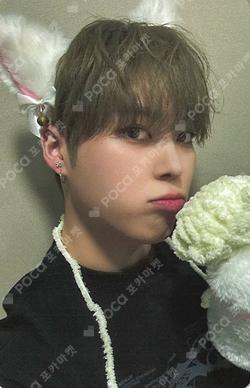 Lost and Found BEATROAD