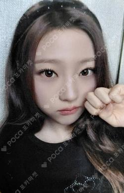 FOCUS StarRiver Stella photocard image