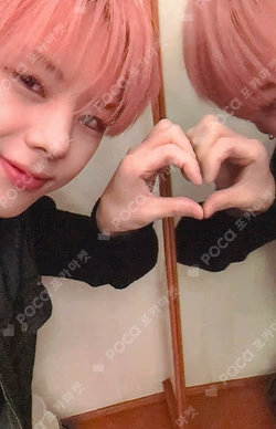 Wonderland EVERLINE JANGDAEHYEON photocard image