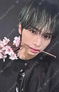 BANG OUT EVERLINE JINBEOM photocard image