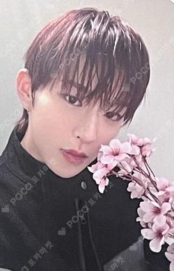 BANG OUT EVERLINE HASEUNG photocard image