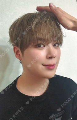 Lost and Found EVERLINE