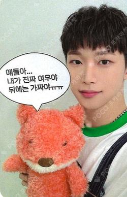 HOUSE OF TRICKY : Trial And Error EVERLINE HYUNWOO photocard image